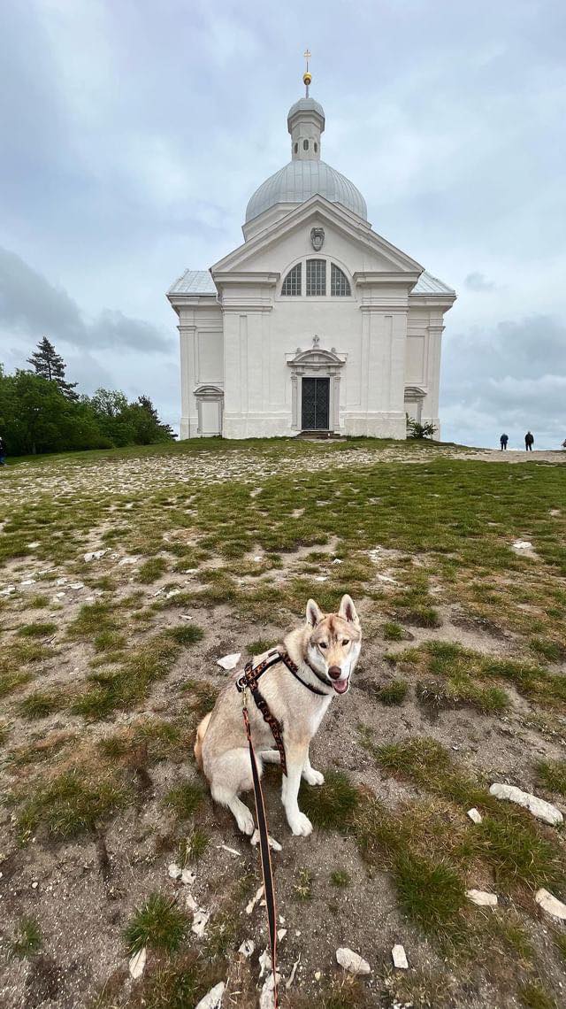 Svatý Kopeček u Mikulova